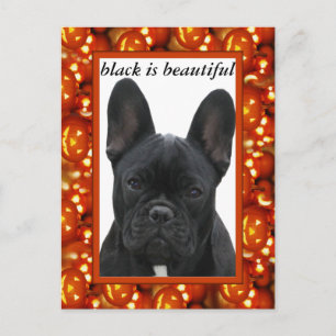 Französische Bulldogge Postkarte Postcard