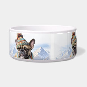 Französische Bulldogge Schlittenfahrt