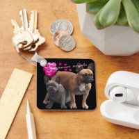 Französische Bulldogge Sweet Angel