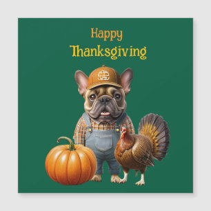 Französische Bulldogge Thanksgiving French Bulldog