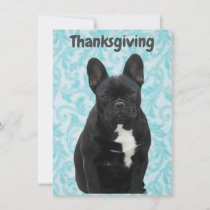 Französische Bulldogge Thanksgiving Grusskarte Save The Date