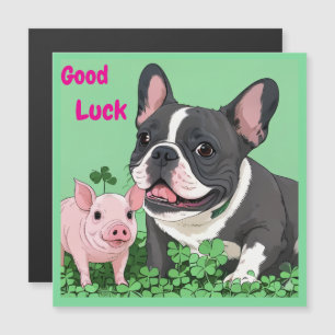 Französische Bulldogge viel Glück