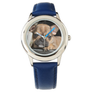 Französische Bulldogge Welpe Watch