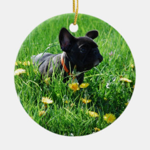 Französische Bulldoggen Anhänger Ceramic Ornament