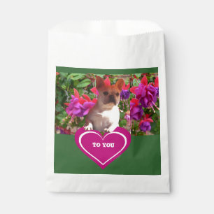 Französische Bulldoggen  Favour Bag