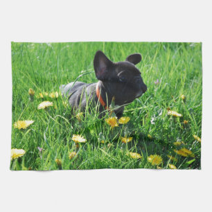 Französische Bulldoggen Geschirrtuch Tea Towel
