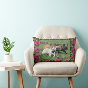 Französische Bulldoggen Kissen Lumbar Cushion