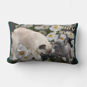 Französische Bulldoggen Kissen Lumbar Cushion
