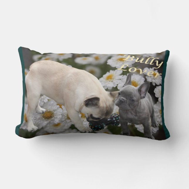 Französische Bulldoggen Kissen Lumbar Cushion (Front)