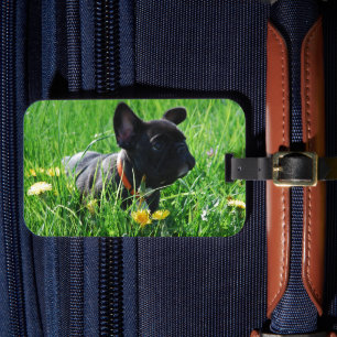Französische Bulldoggen Kofferanhänger Luggage Tag