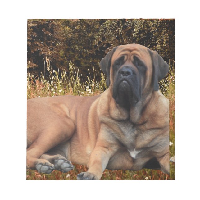 Französische Bulldoggen Mastiff Notizblock Notepad (Front)
