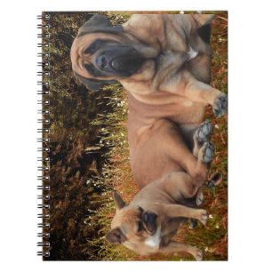 Französische Bulldoggen Mastiff Notizbuch Notebook