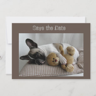 Französische Bulldoggen Postkarte save the date