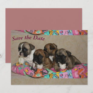 Französische Bulldoggen Postkarte Save The Date