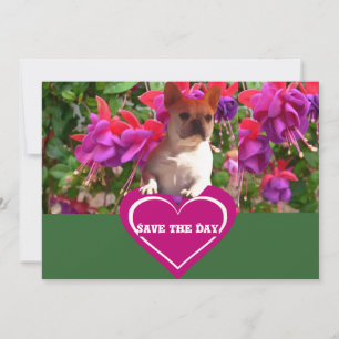 Französische Bulldoggen Postkarten Invitation