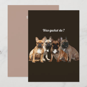  Französische Bulldoggen Was guckst du ? Invitation