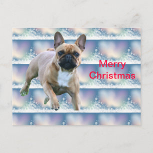 Französische Bulldoggen Weihnachtskarte Holiday Postcard