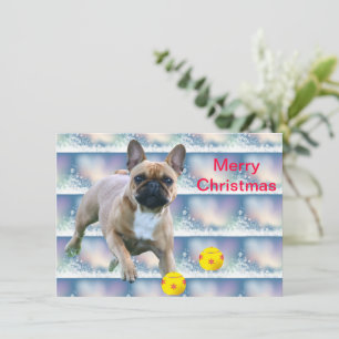 Französische Bulldoggen Weihnachtskarte Save The Date