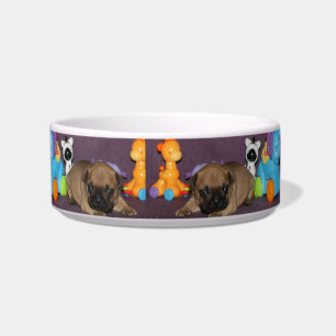 Französischen Bulldoggen Bowl