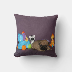 Französischen Bulldoggen Cushion