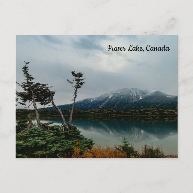 Fraser Lake, Canada Postcard (Front)
