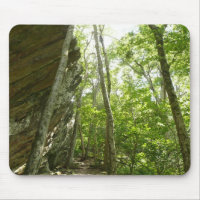 Frazier Rock Wall in Shenandoah National Park