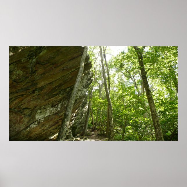 Frazier Rock Wall in Shenandoah National Park Poster (Front)
