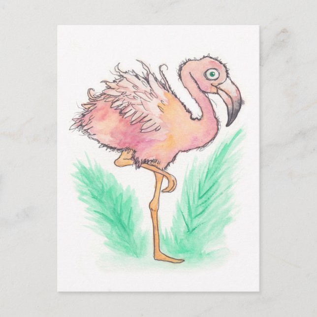 Frazzled Flamingo Postcard (Front)