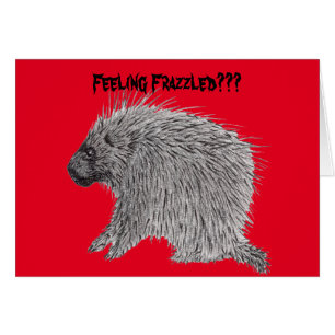 Frazzled Porcupine