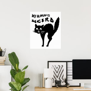Freaked-out cat poster