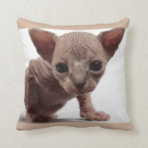 Freaky Cute Furless Sphynx Kitten Cushion