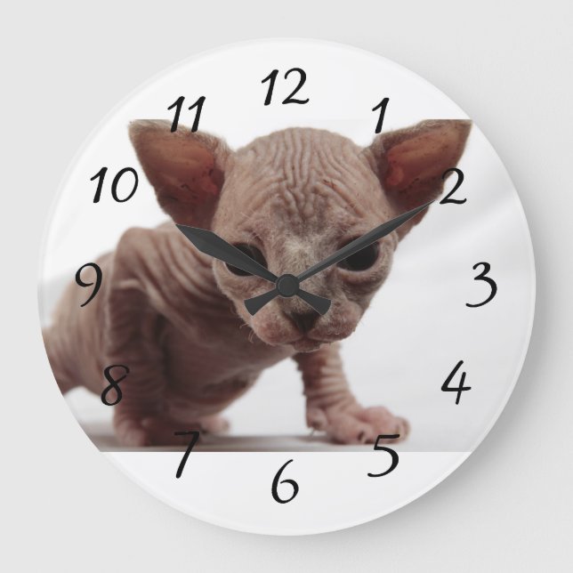 Freaky Cute Furless Sphynx Kitten Large Clock (Front)