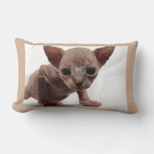 Freaky Cute Furless Sphynx Kitten Lumbar Cushion