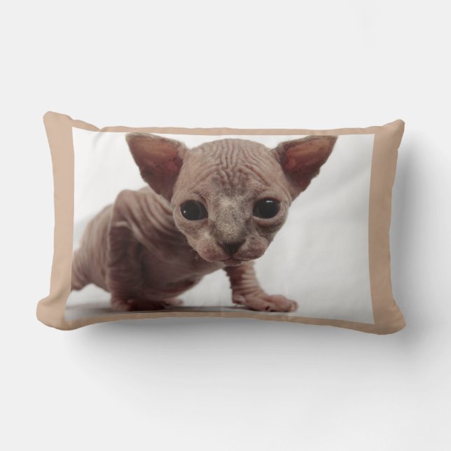 Freaky Cute Furless Sphynx Kitten Lumbar Cushion (Front)