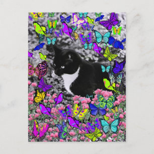 Freckles in Butterflies II - Tux Kitty Cat Postcard