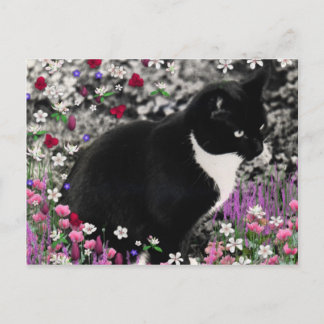 Freckles in Flowers II - Tuxedo Cat Postcard