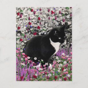 Freckles in Flowers II - Tuxedo Kitty Cat Postcard
