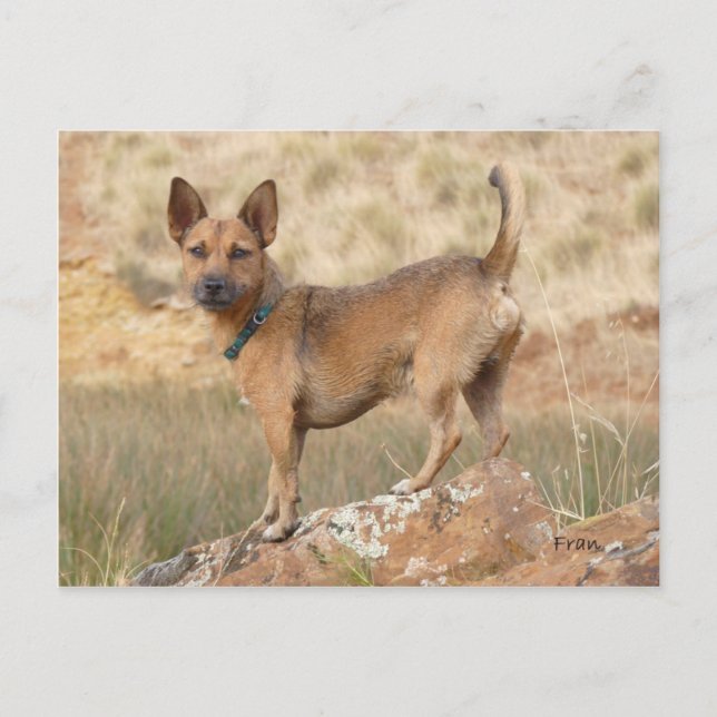 Fred Postcard (Front)