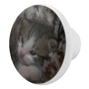 Freddie Ceramic Knob