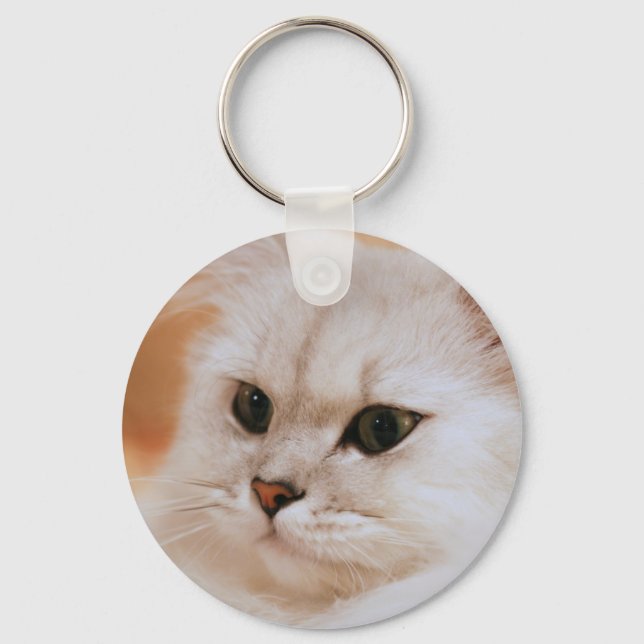 Freddie ~ Chinchilla Persians Key Ring (Front)
