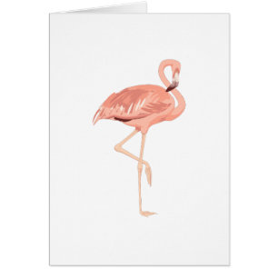 Freddy Flamingo