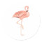 Freddy Flamingo