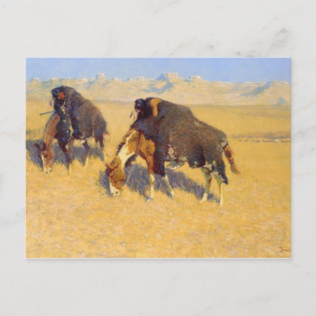 Frederic Remington - Indians Simulating Buffalo Postcard (Front)