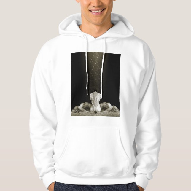 Free 2013 hoodie (Front)