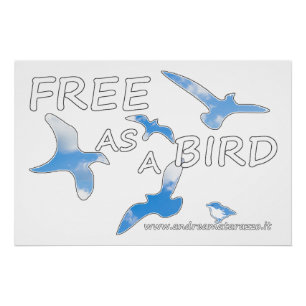 Free as a Bird  Glossy Poster