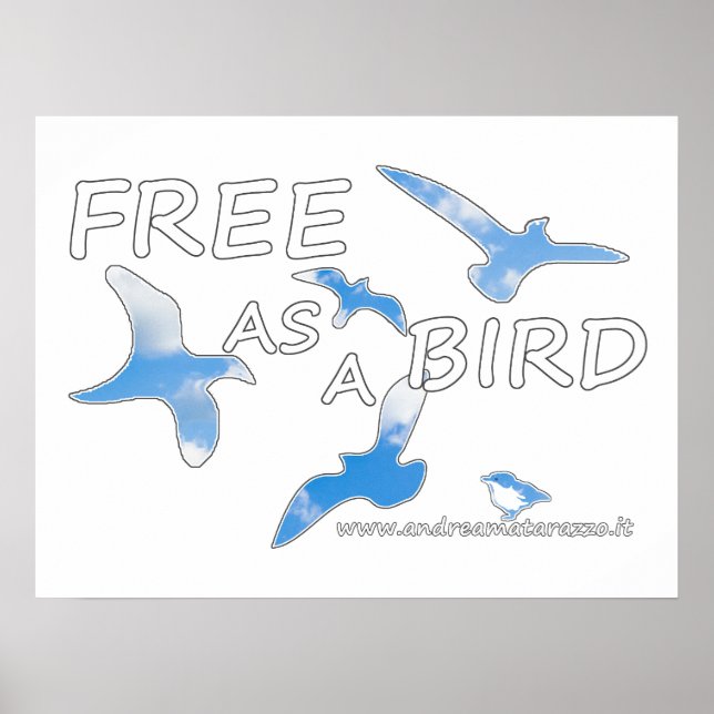 Free as a Bird  Poster (Front)