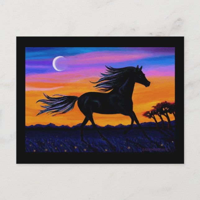 Free As The Wind Postcard (Front)