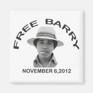 FREE BARRY Magnet