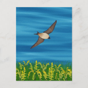 FREE BIRD POSTCARD