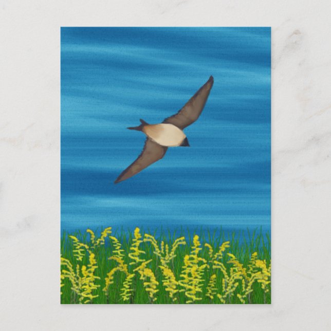 FREE BIRD POSTCARD (Front)